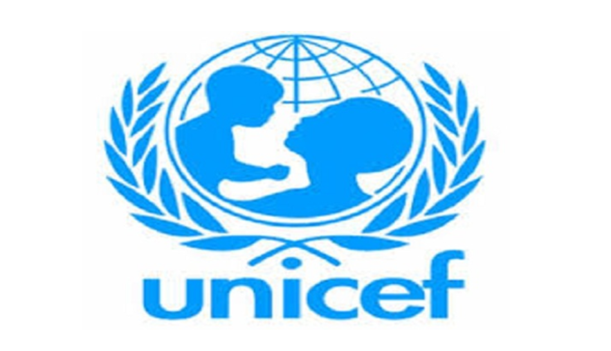 Clean Nigeria: UNICEF, DFID and European Union tackle open defecation in Nigeria. 1