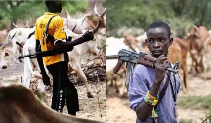 Ekiti Government To Start Arresting Herdsman Caught With Arms 7