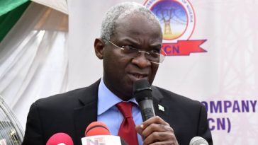 "If You Don't Have Electricity, That's Your Damn Business" - Fashola 2