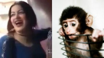 Woman Sentenced To Jail For “Sexually Harassing” A Monkey In Egypt - See Photos 7