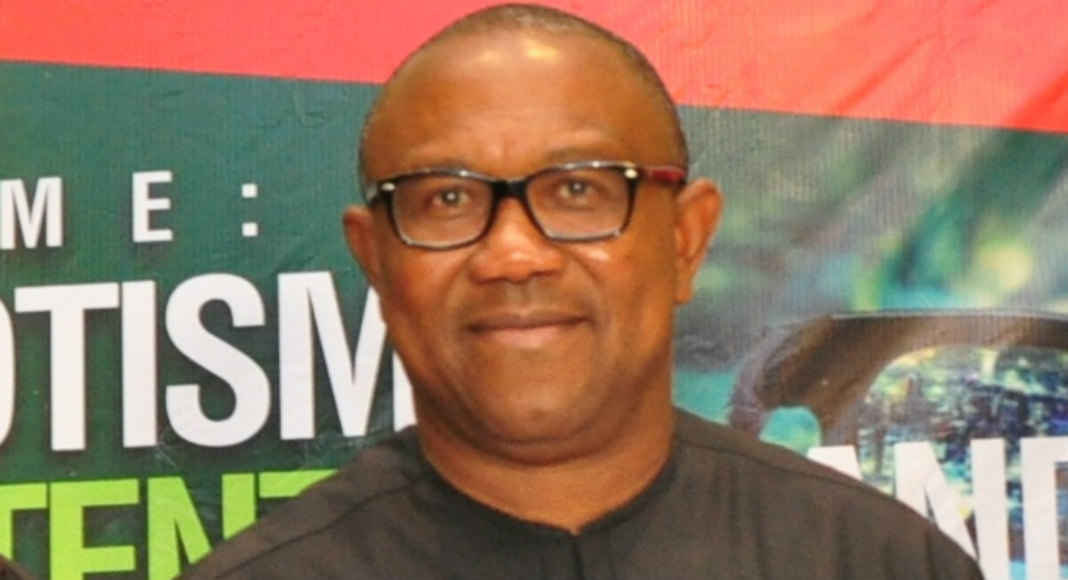 Ex-Governor, Peter Obi To Appear Before Anambra Judicial Panel Over Demolition Of Hotel 1