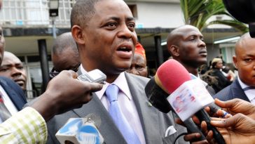 "I Have No Apology To Offer" - Fani-Kayode Justifies Calling Journalist 'Stupid' Live On Camera 2