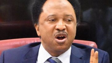 President Buhari Is Surrounded By 'Fake Love', Would Be Abused And Insulted When He Leaves Power - Shehu Sani 6