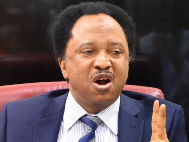 President Buhari Is Surrounded By 'Fake Love', Would Be Abused And Insulted When He Leaves Power - Shehu Sani 1