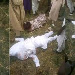 Groom And His Family Members Dies In Fatal Accident On Their Way To Wedding In Kano [Photos] 5
