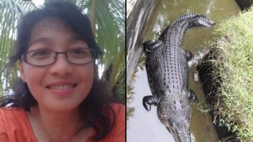 Female Scientist Eaten Alive While Feeding A Troubled Crocodile [Photos] 4
