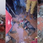Young Lady Swept Away During Heavy Rainfall In Onitsha, Anambra State [Photos] 11