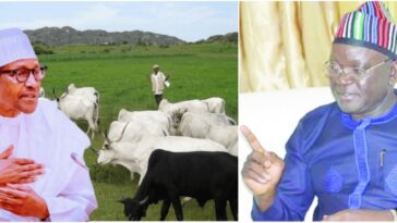 "You're Turning Nigeria To Cow Republic" - Ortom Slams Buhari Over Grazing Reserve